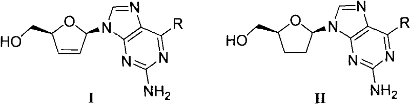 D, L-guanosine analogs, preparation methods thereof and applications thereof