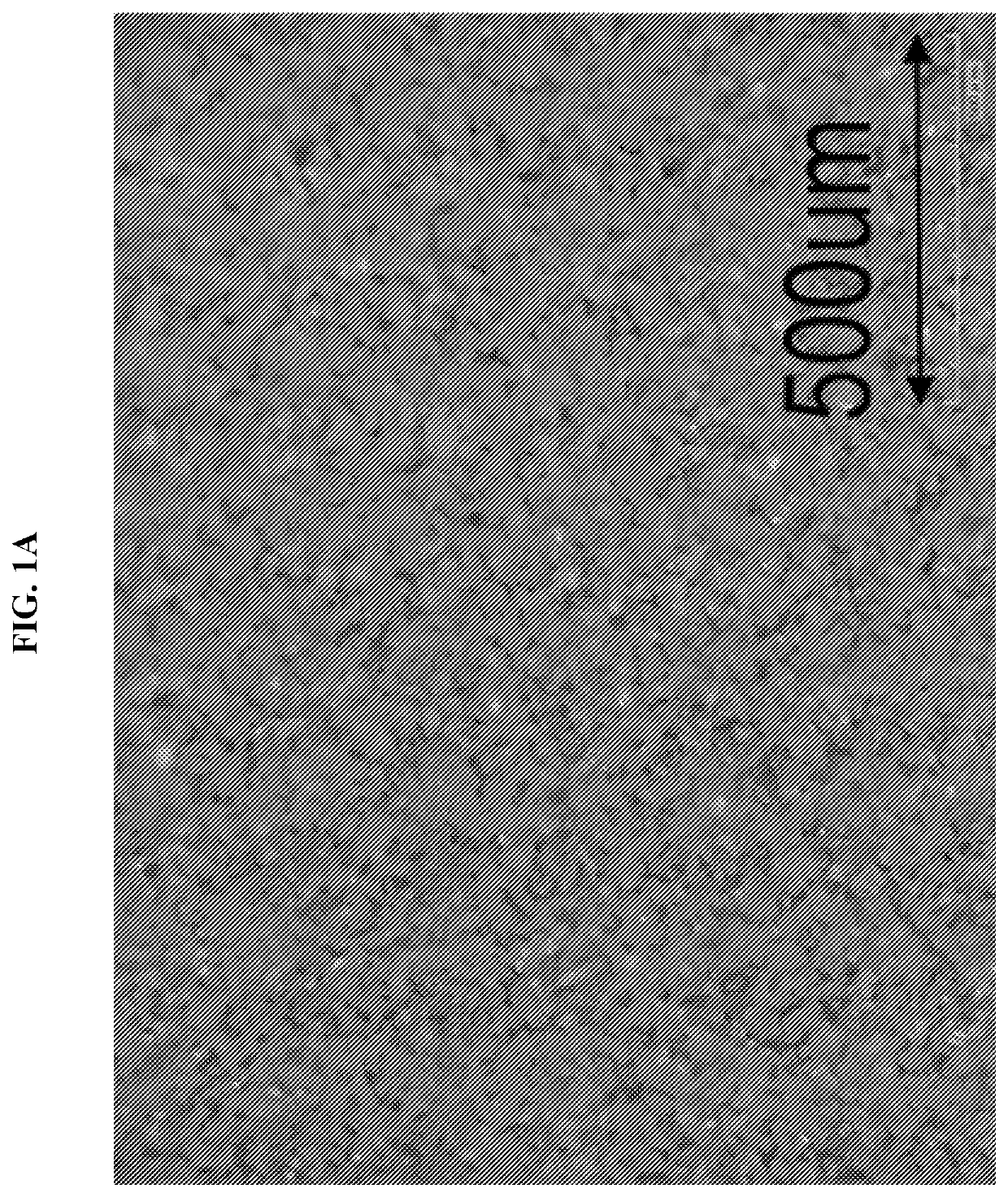 Formulations and methods for 3D printing of ceramic matrix composites