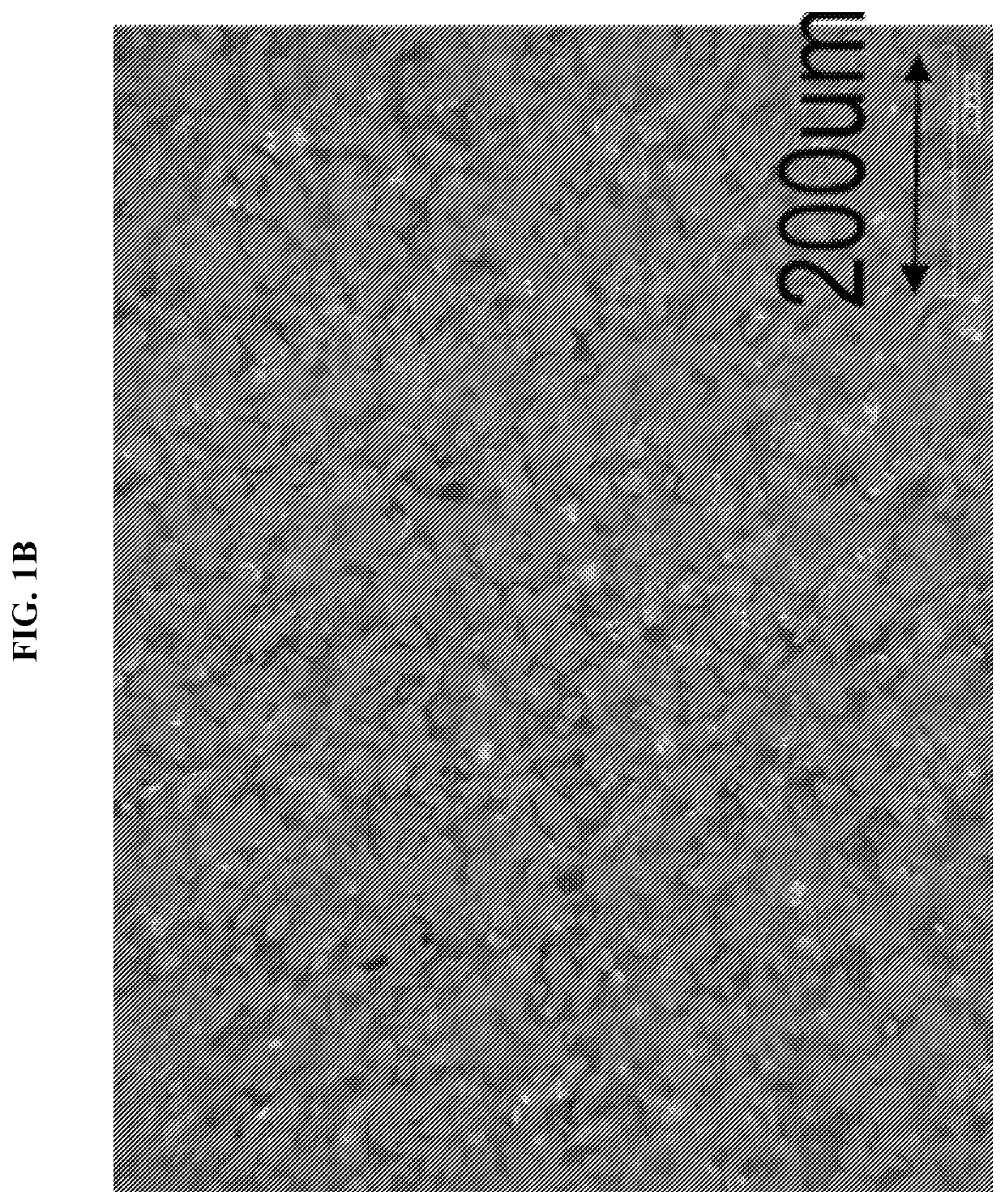 Formulations and methods for 3D printing of ceramic matrix composites