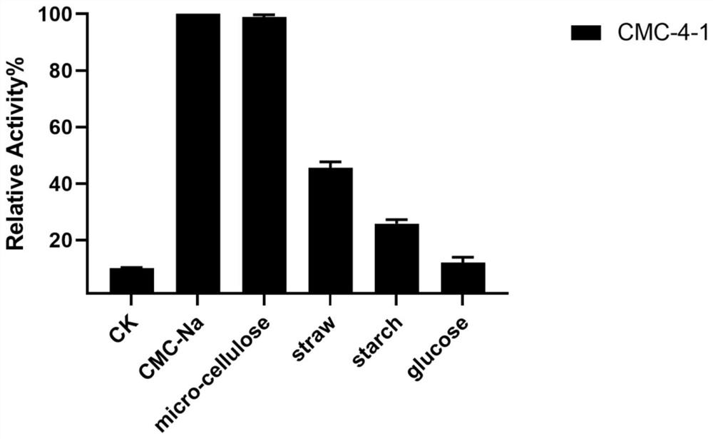 A kind of artificially induced Geobacillus thermoglucosidase and its application in cellulose degradation