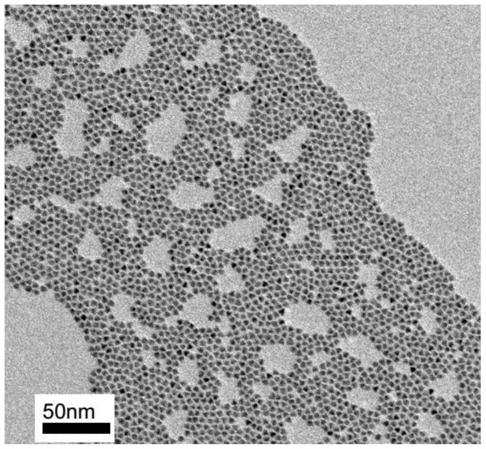 Blue light cadmium-free quantum dot, preparation method thereof and quantum dot photoelectric device