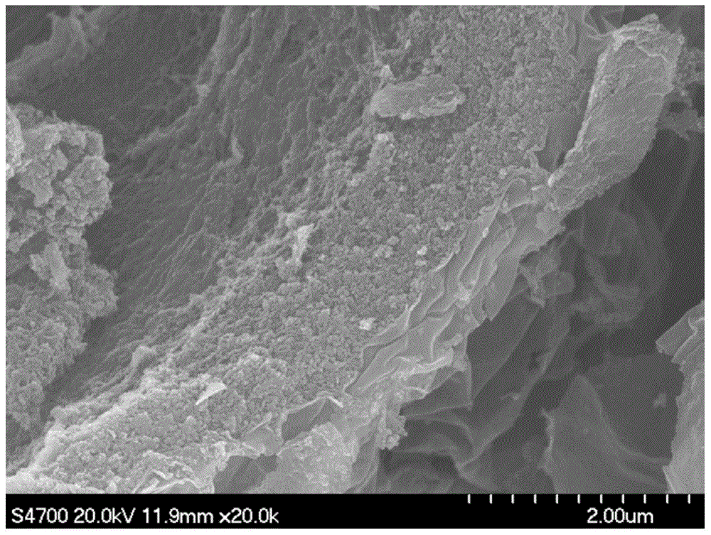 A method for preparing graphene microspheres by atmospheric pressure drying