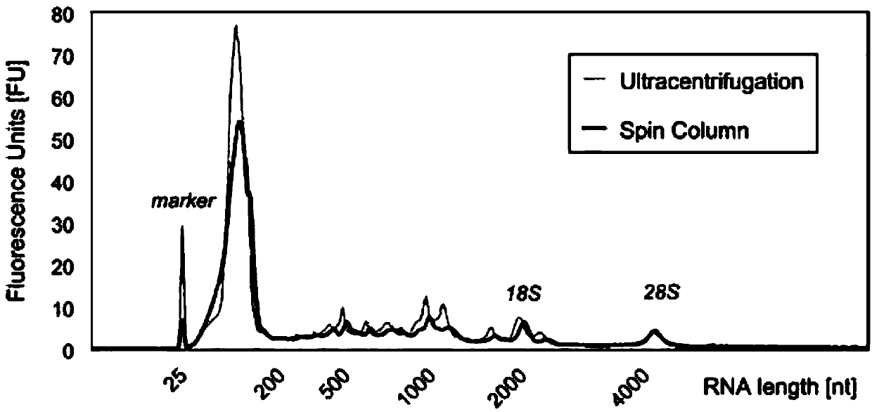 A psp-based elRNA library construction method suitable for high-throughput sequencing