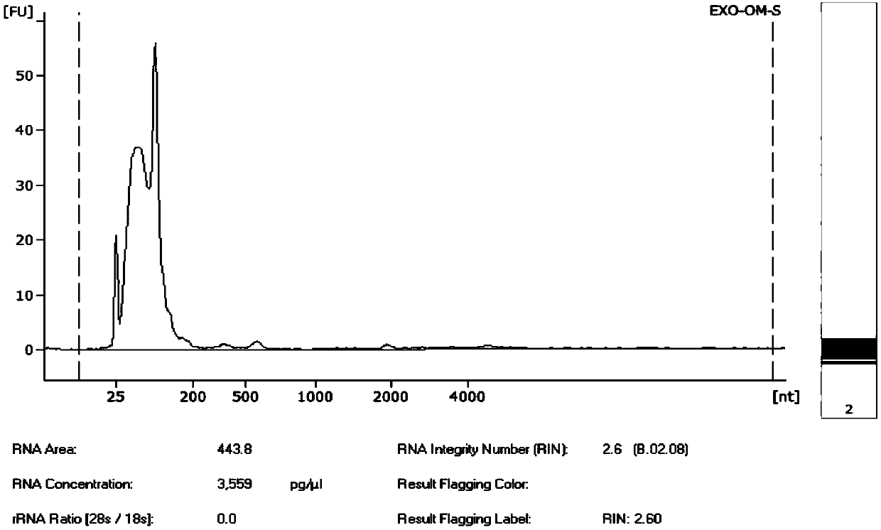 A psp-based elRNA library construction method suitable for high-throughput sequencing