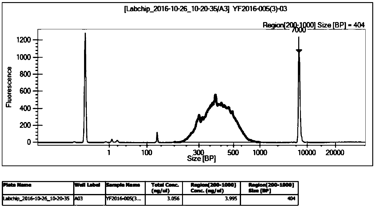 A psp-based elRNA library construction method suitable for high-throughput sequencing