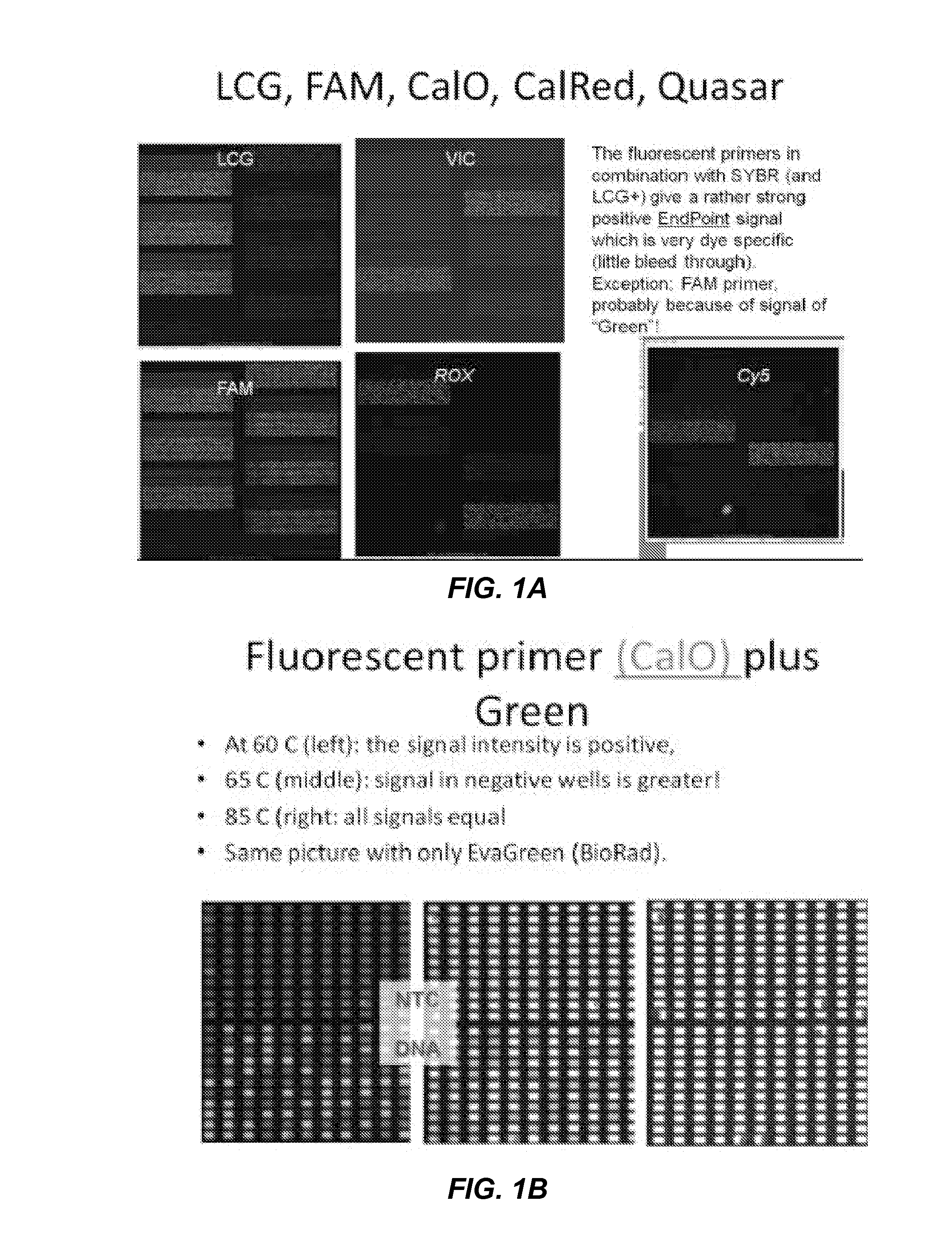 Assays for the detection of genotype, mutations, and/or aneuploidy