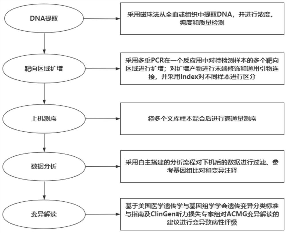 Specific primer and test kit for detecting pathogenic variation of deafness gene based on multiplex PCR and high-throughput sequencing technology and application