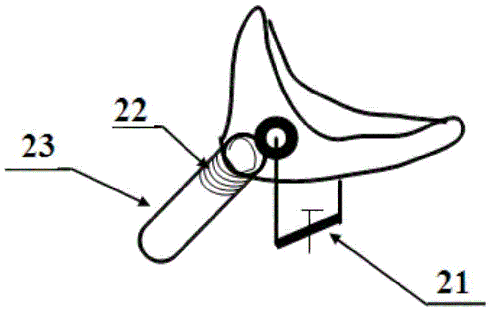 Animal saliva collecting device