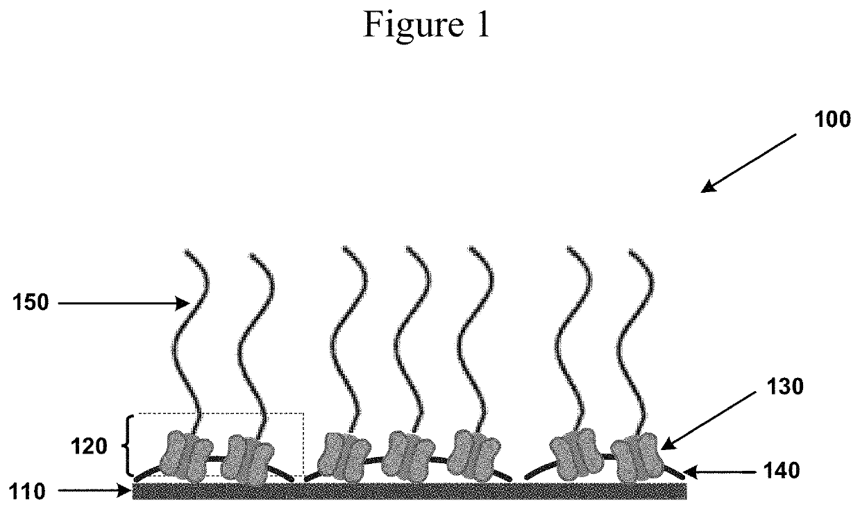 Self-regenerating hyaluronan polymer brushes