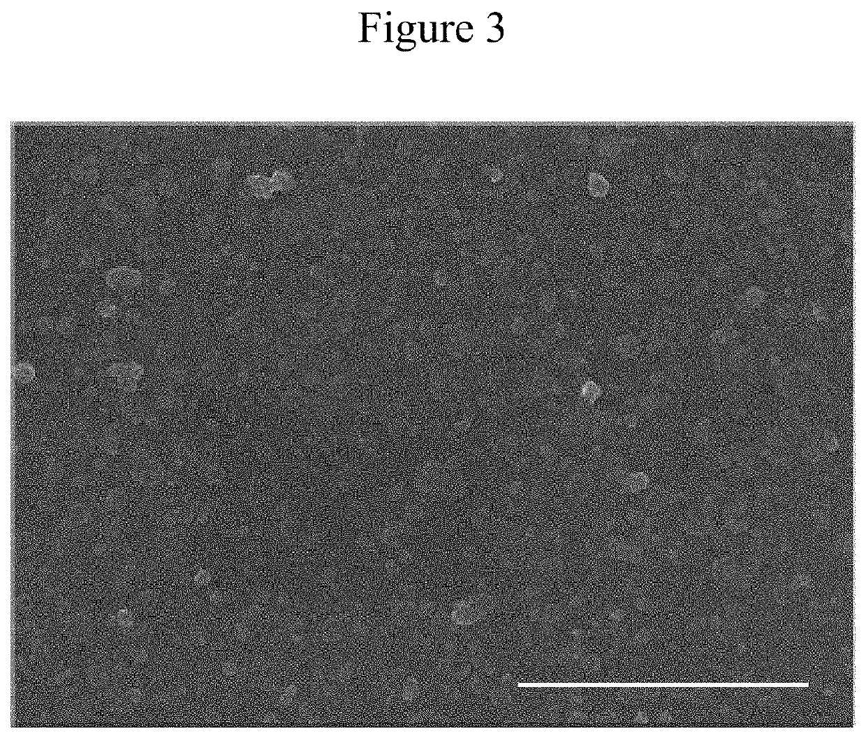 Self-regenerating hyaluronan polymer brushes