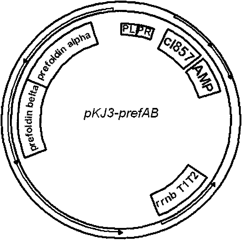 Enzyme composition for high-efficiency decomposition of cellulose