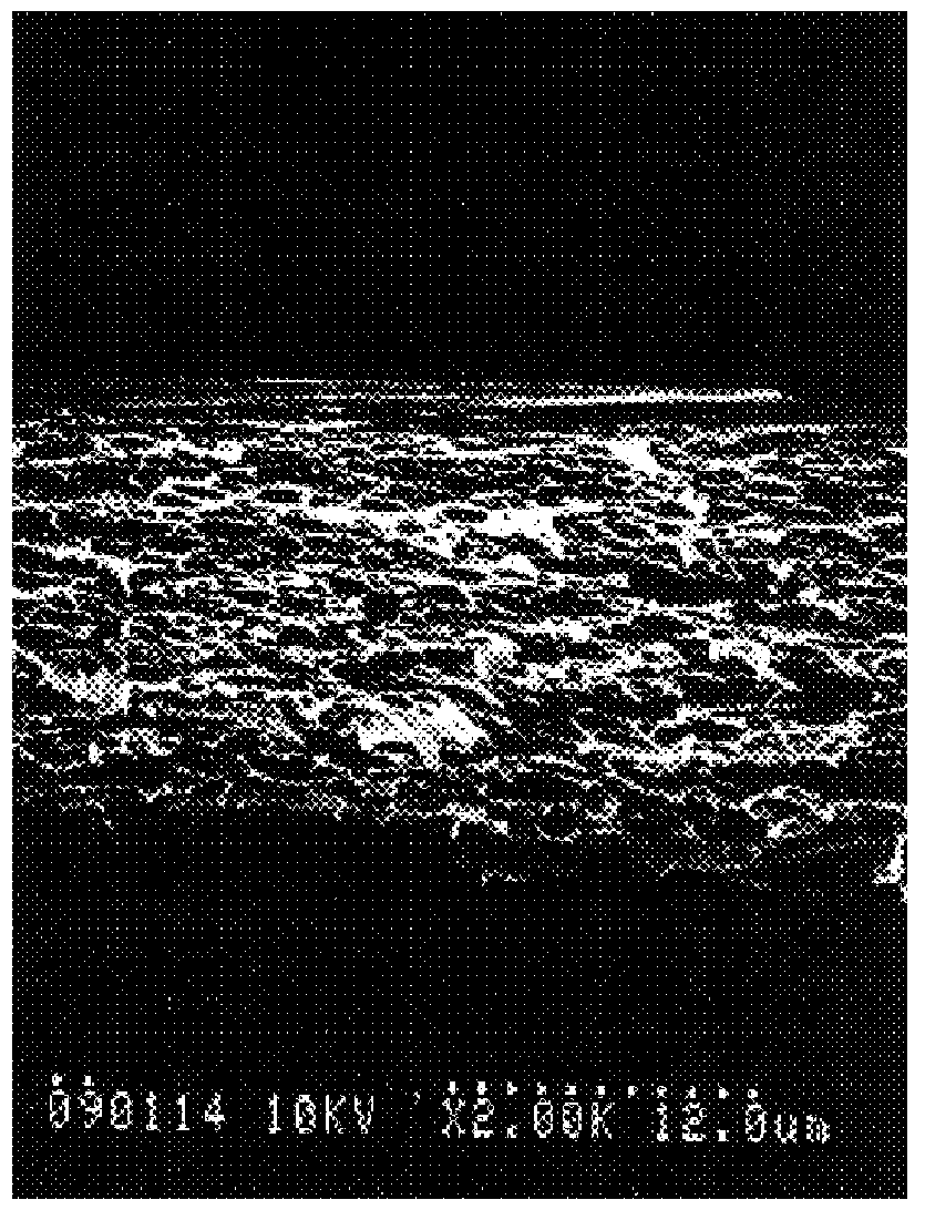 Process for producing porous polyimide and porous polyimide