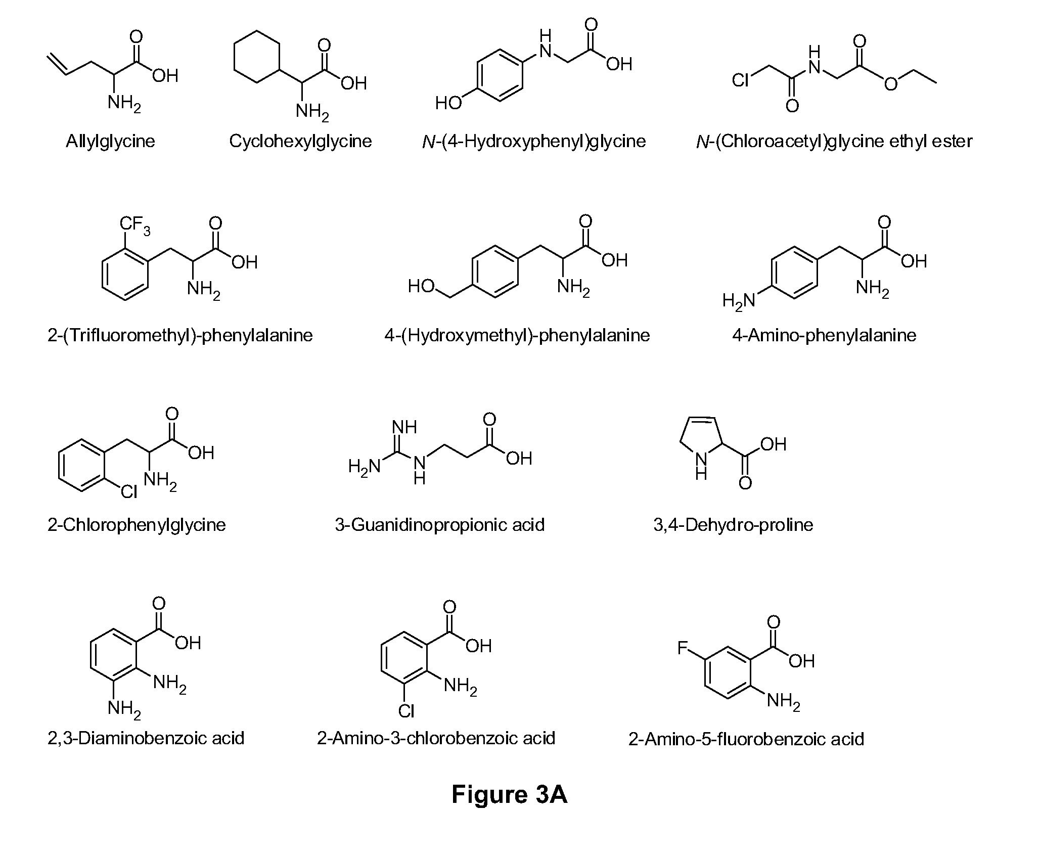 Amino acid conjugates of quetiapine, process for making and using the same