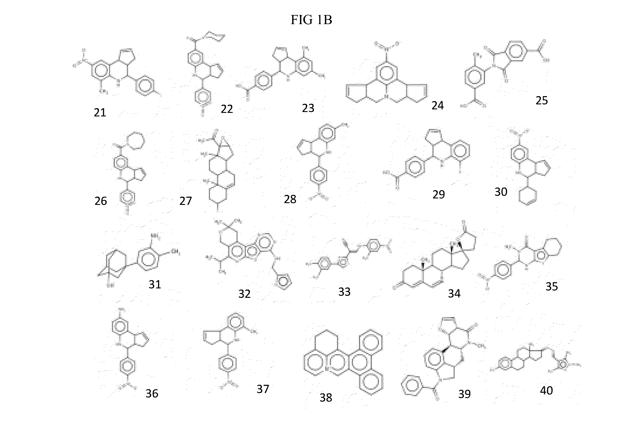 Compositions and methods for inhibiting norovirus infection