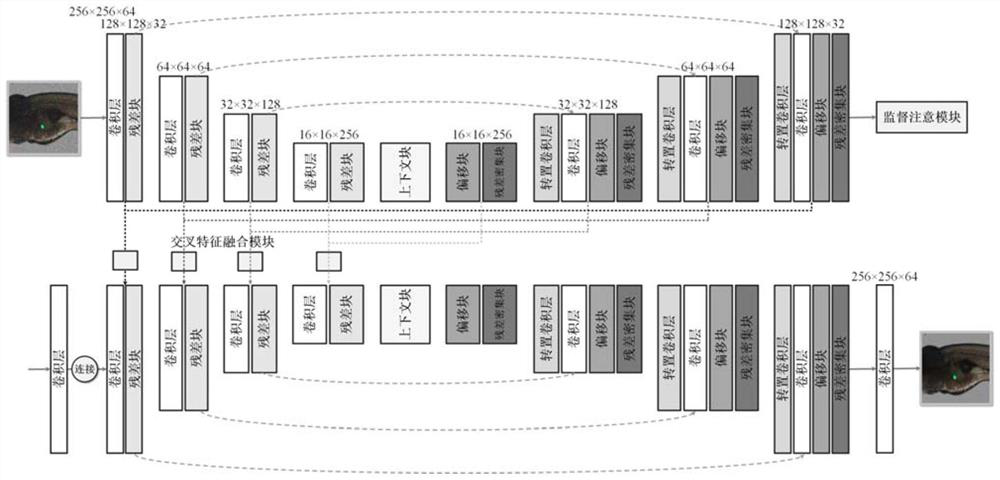 Biological image denoising method based on double-enhanced residual network