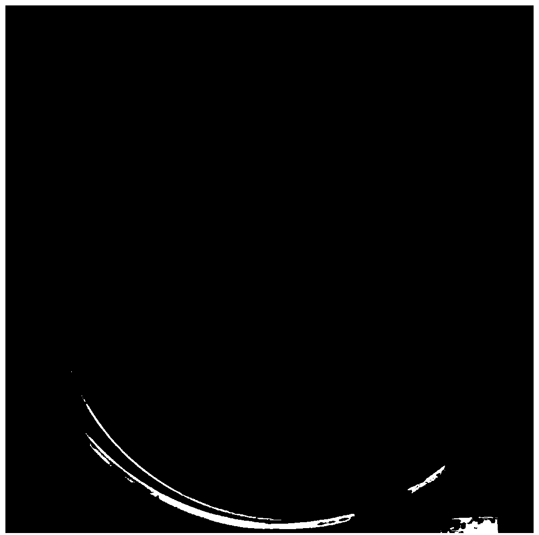 Spirulina polypeptide P1 with bacteriostatic activity, and application thereof