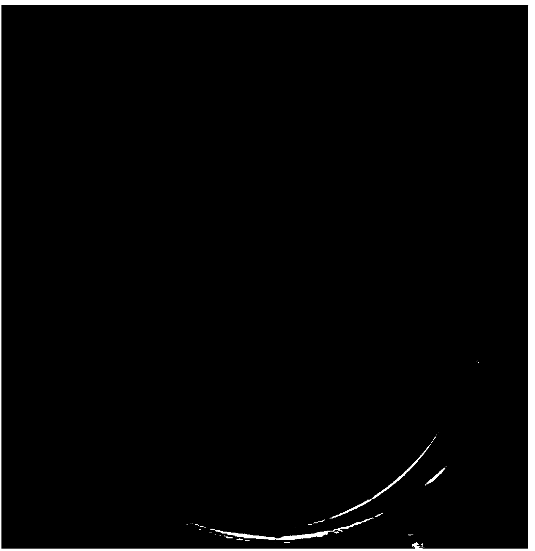 Spirulina polypeptide P1 with bacteriostatic activity, and application thereof