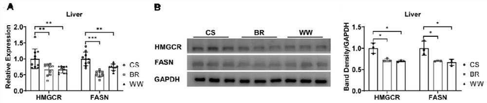 miRNA markers of lipid synthesis capacity under whole grain diet