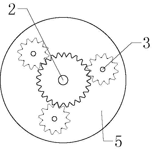 Punching device for kiwi fruit tree seedling planting