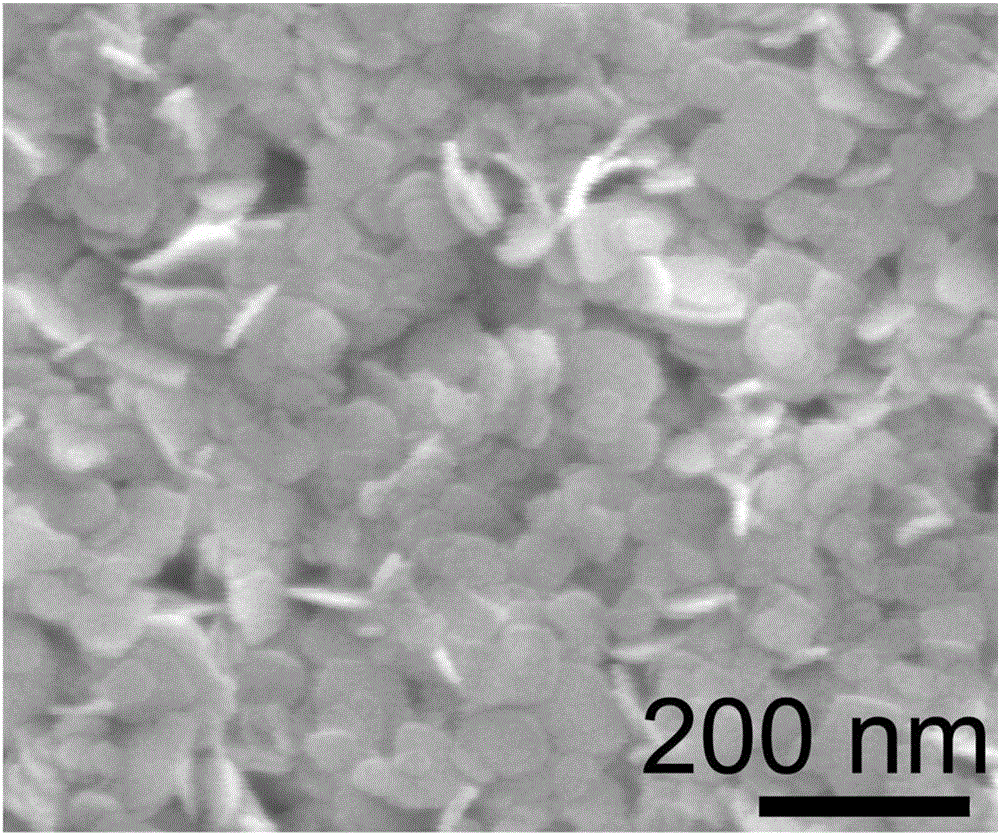 Catalyst for catalyzing hydrogenation reduction of nitrophenol and application thereof