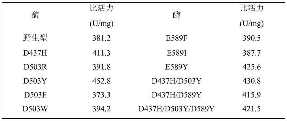 Pullulanase mutant and preparation method thereof