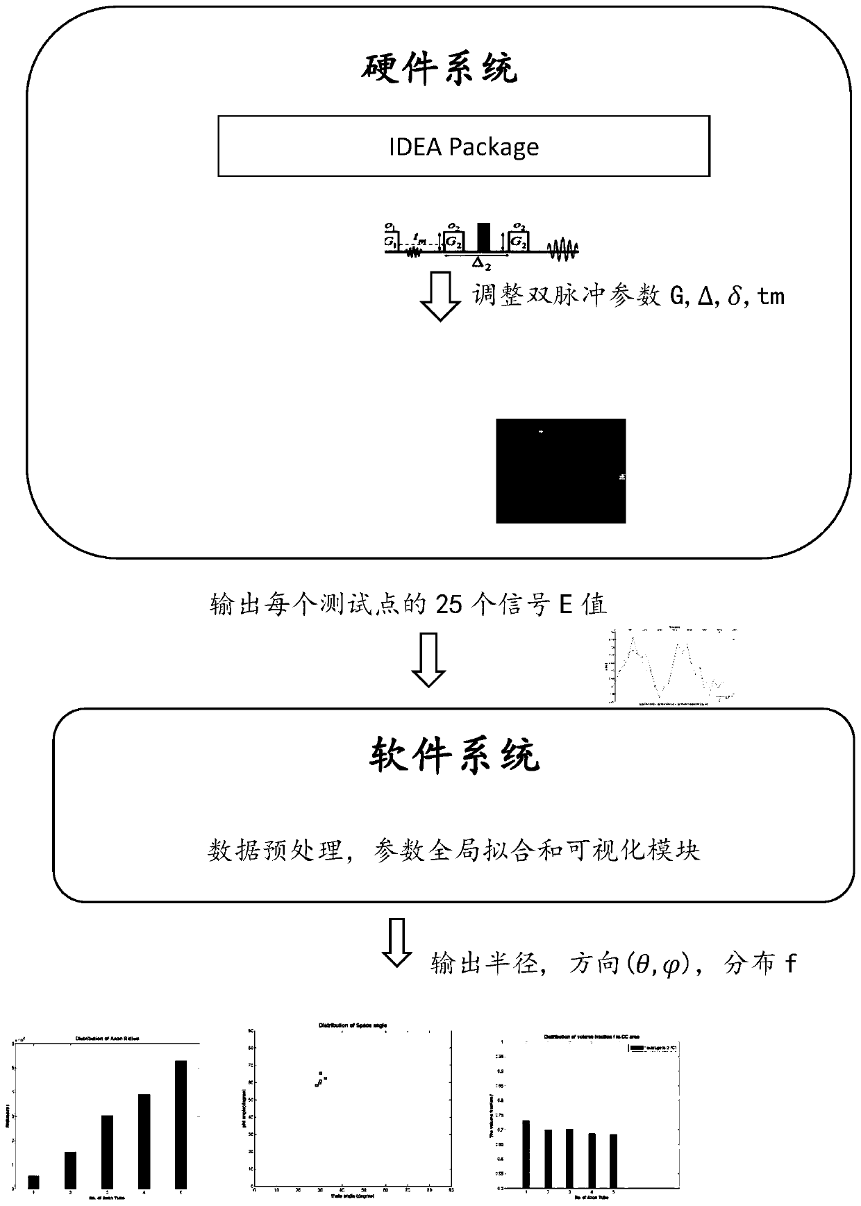 Magnetic resonance double-pulse brain white matter micro-measurement system and method