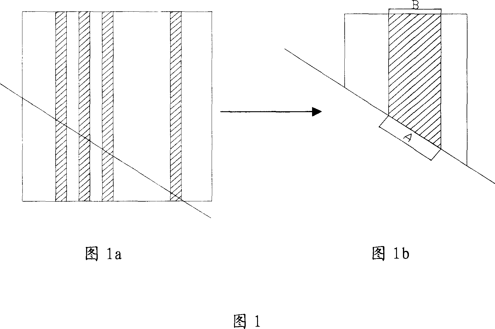 Fixer andits scanning electronic microscope for testing sample