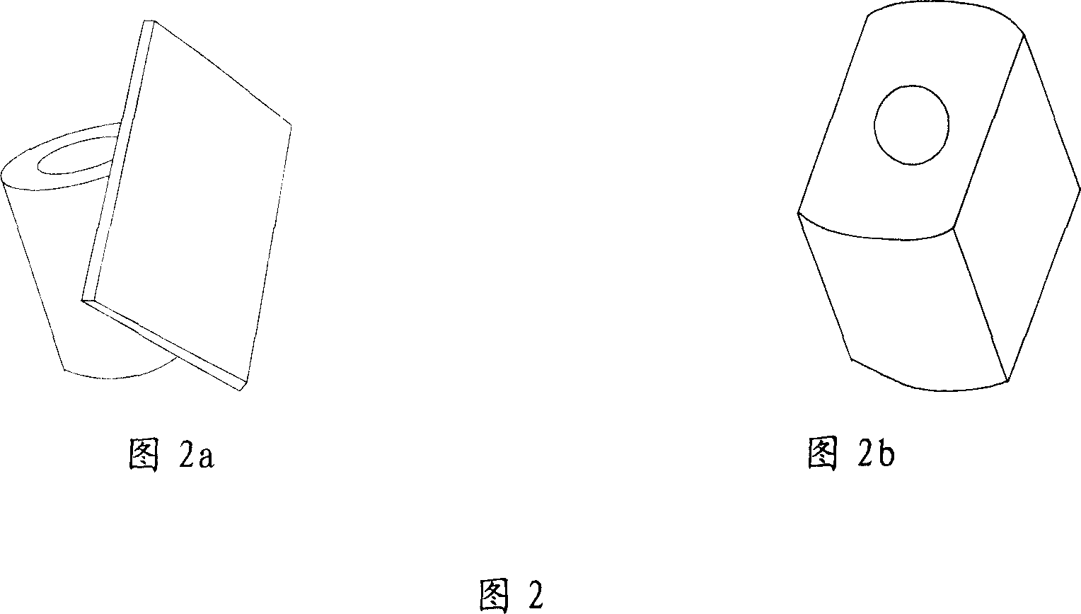 Fixer andits scanning electronic microscope for testing sample