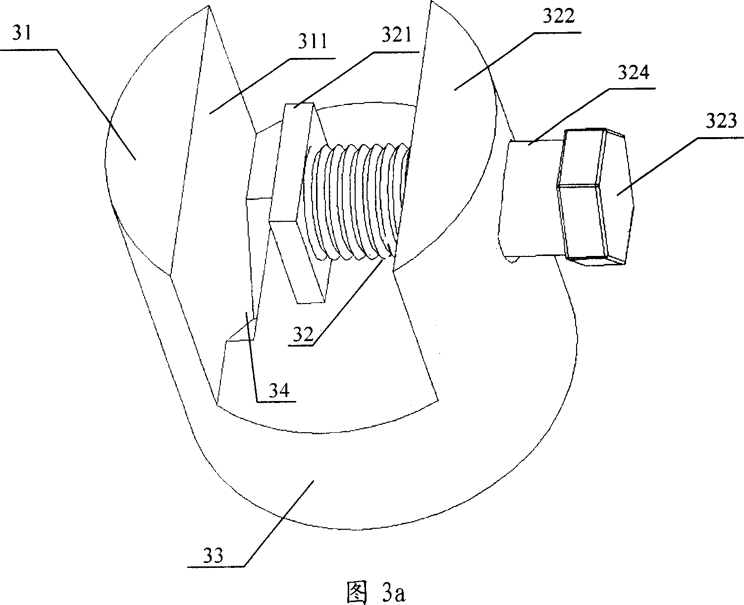 Fixer andits scanning electronic microscope for testing sample