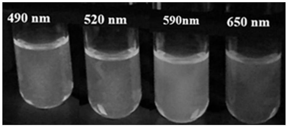 Non-toxic quantum dot with controllable particle size and preparation method thereof