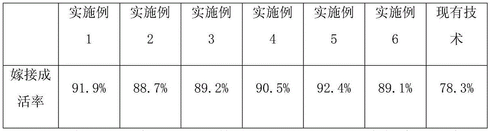 Grafting cultivation method of flowering peaches