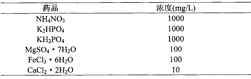 System and method for removing natural organic substances and odor-induced substances in micro polluted water