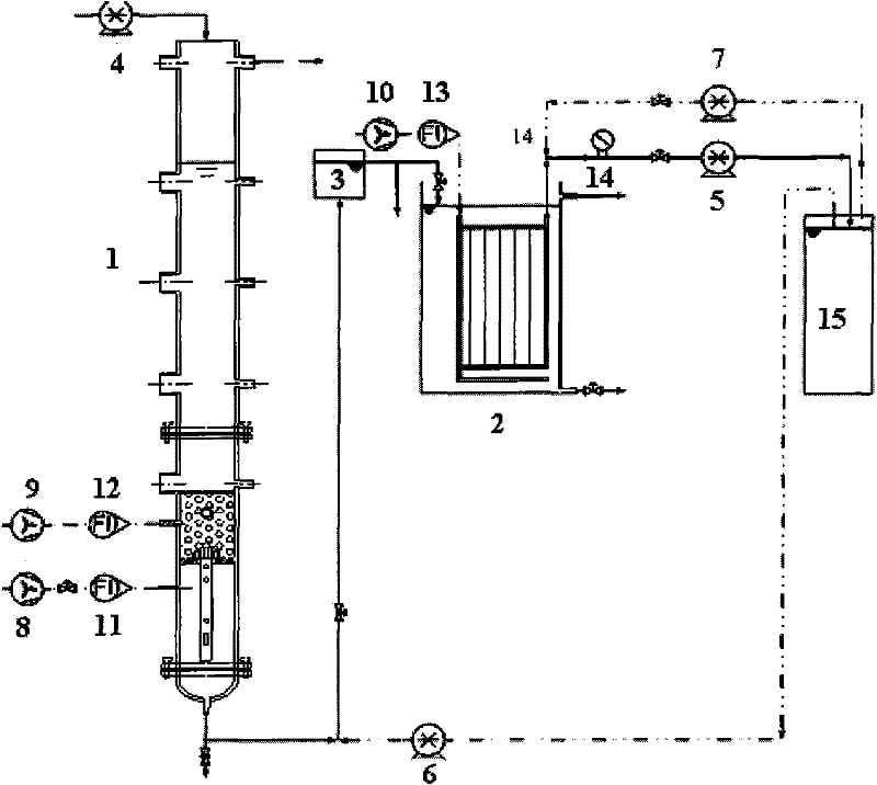 System and method for removing natural organic substances and odor-induced substances in micro polluted water