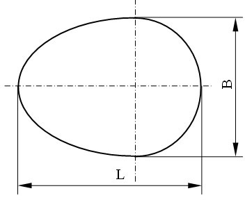 Method for calculating volume and mass of egg on basis of line of apsides