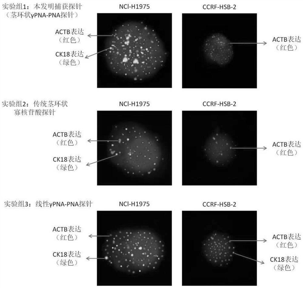 Kit for detecting gene expression of cytokeratin 18