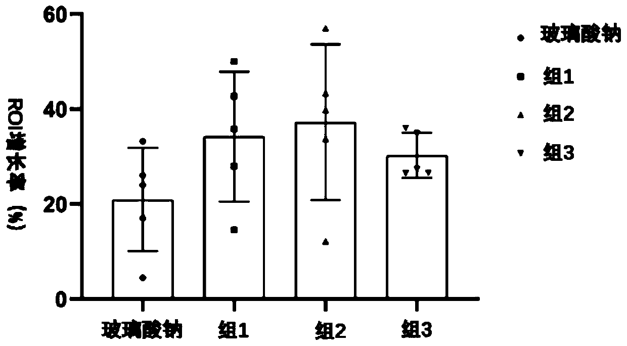 Medicine compound preparation for treating osteoarthritis and preparation method of medicine compound preparation