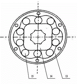 Non-circular planetary gear hydraulic motor for oil-emulsion medium