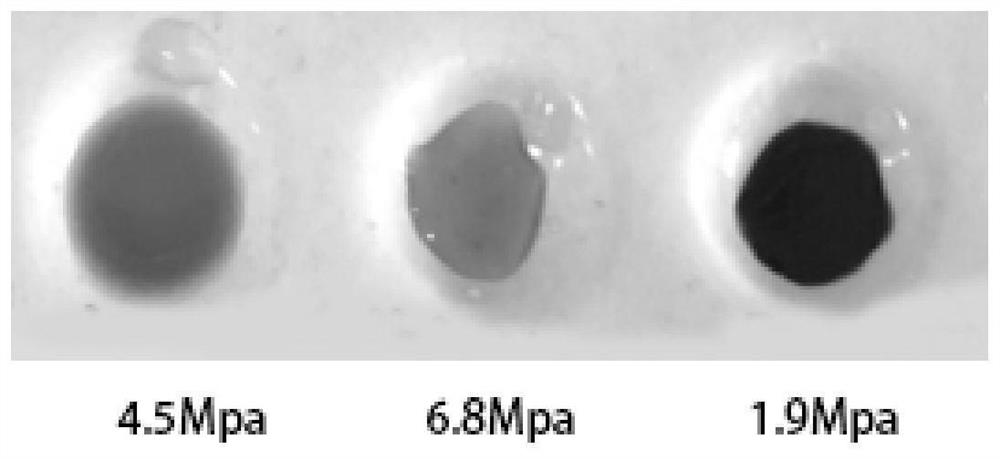 Method for preparing RG-I pectic polysaccharide rich in arabinose side chains