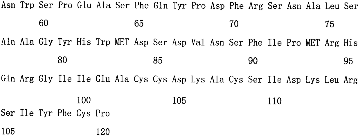 Complementary deoxyribonucleic acid (cDNA) of insulin-like peptide (ILP)-1 gene in harmonia axyridis, and application of cDNA of ILP-1 gene in harmonia axyridis