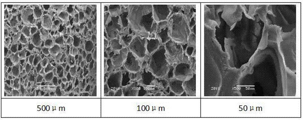 Natural aromatic foam material and preparation method