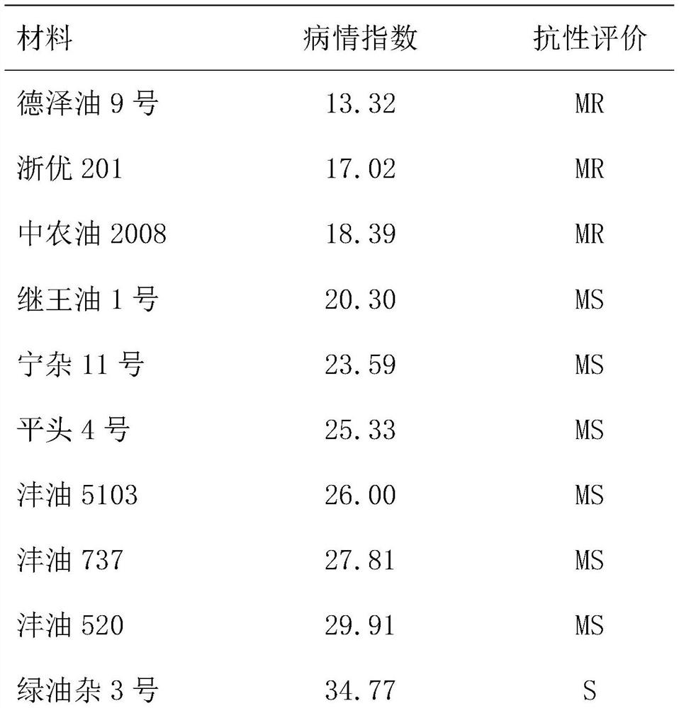 Inoculation identification method of clubroot in cruciferous crops