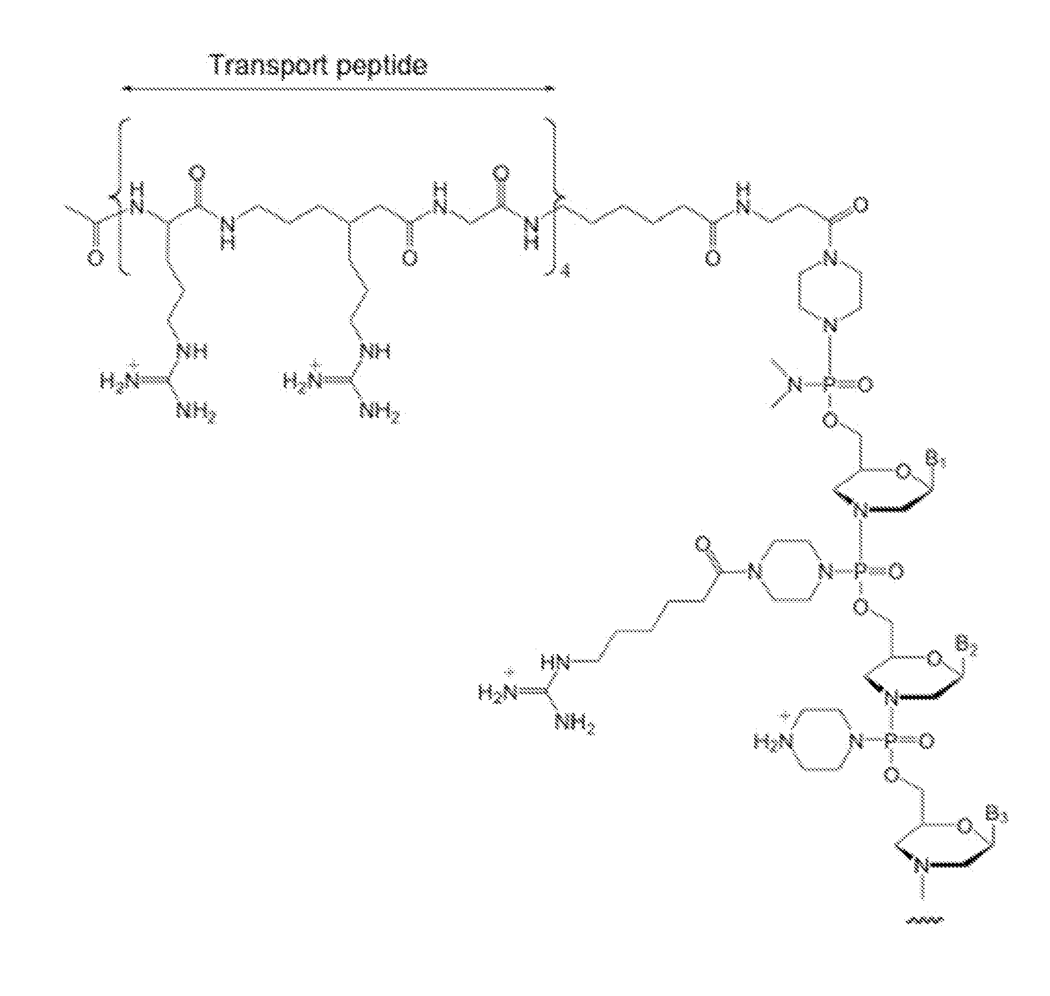 Antisense modulation of nuclear hormone receptors