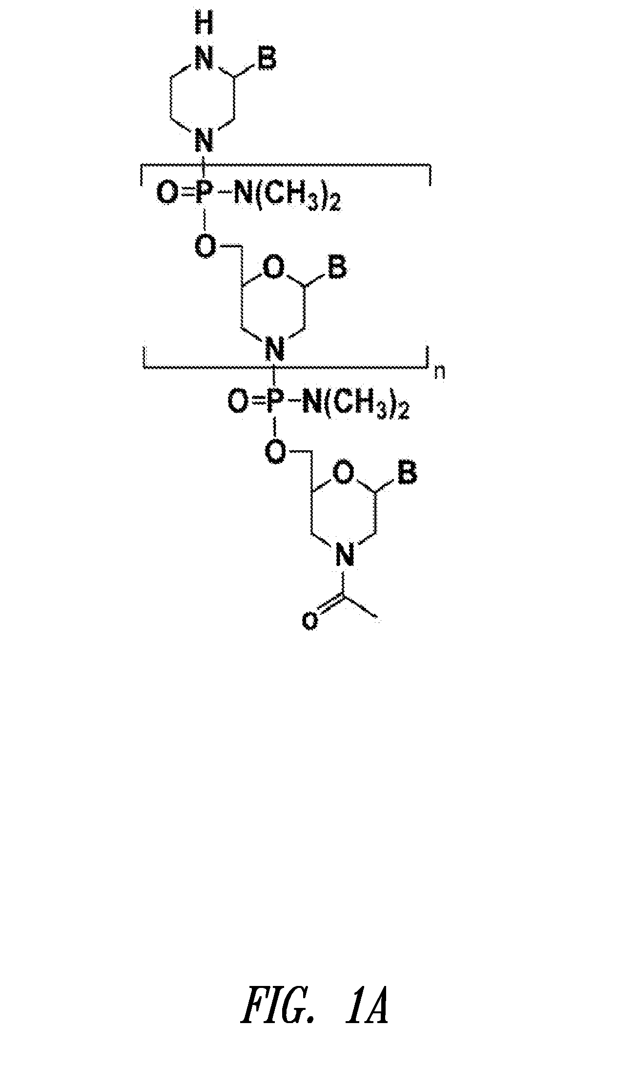 Antisense modulation of nuclear hormone receptors