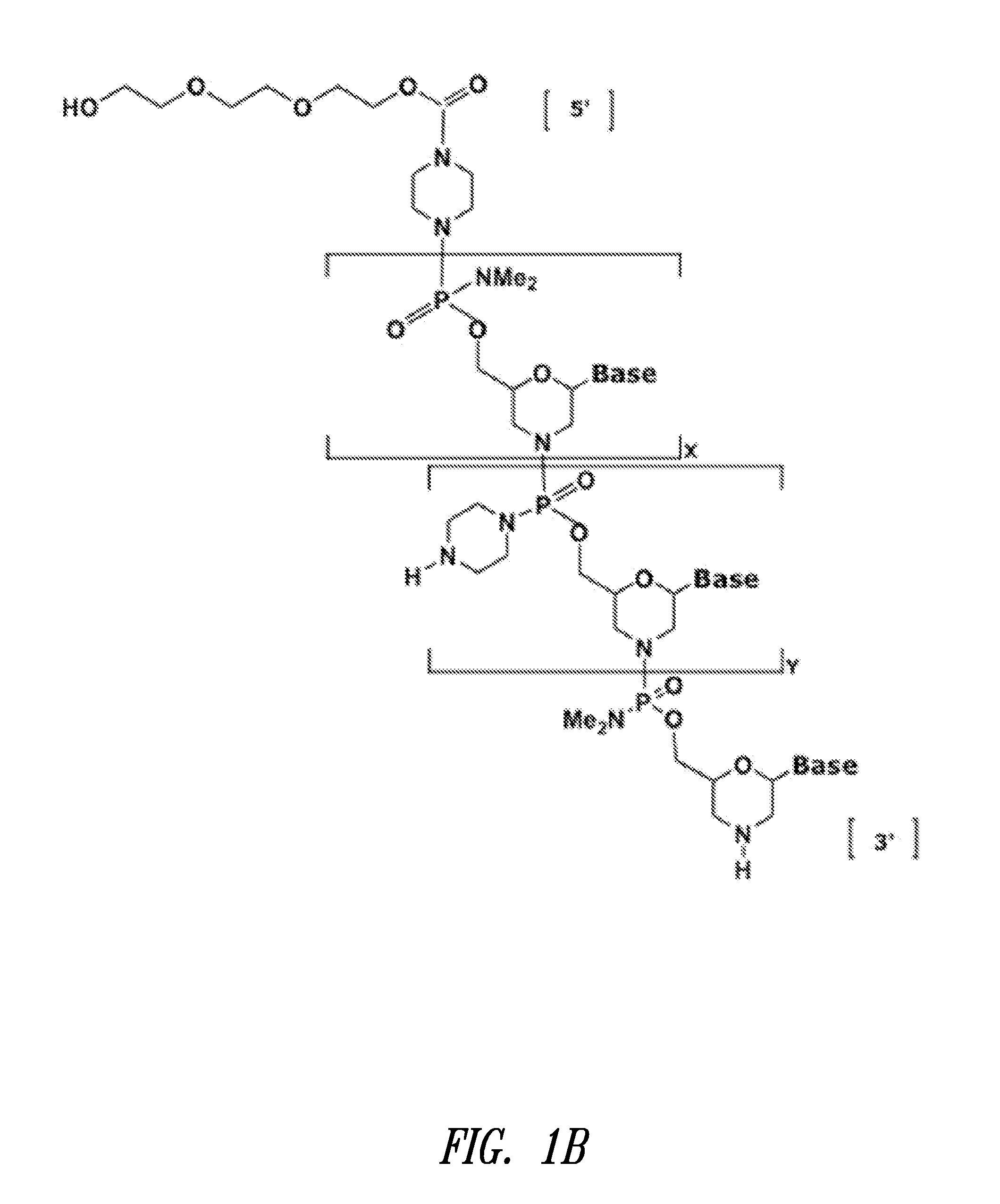 Antisense modulation of nuclear hormone receptors