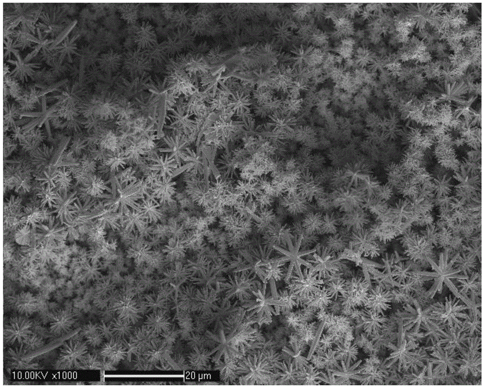 A surface-enhanced Raman scattering detection chip and its preparation method