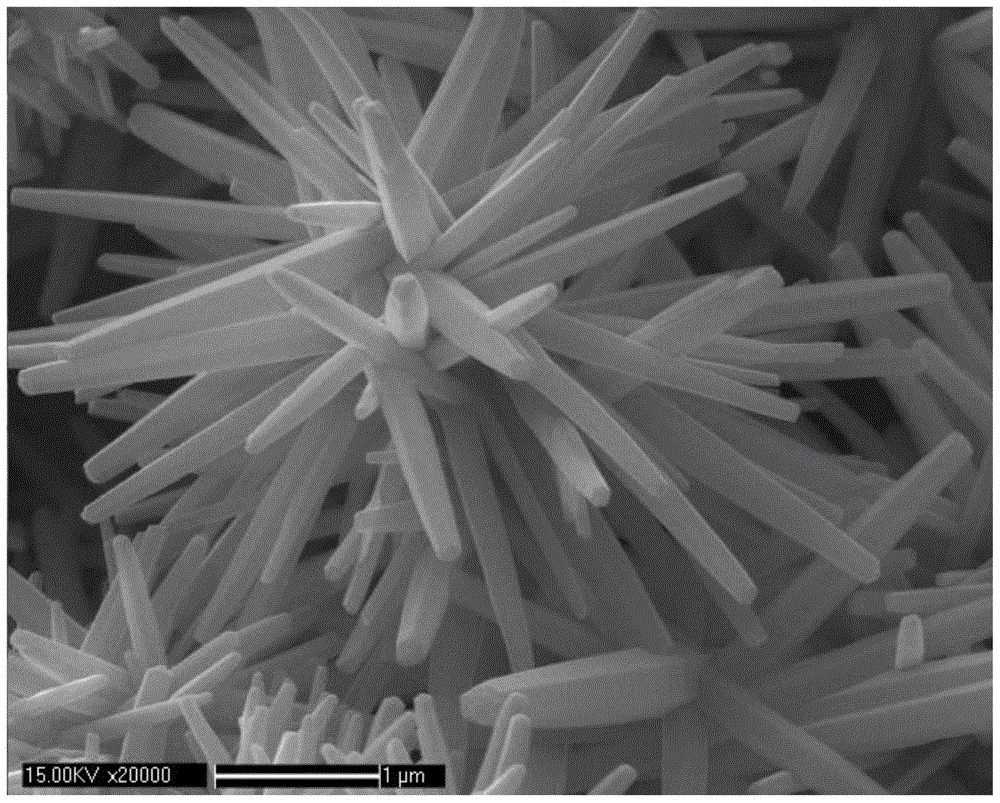 A surface-enhanced Raman scattering detection chip and its preparation method