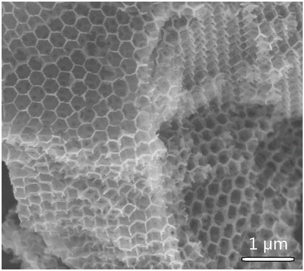 Application of cobalt oxide particles loaded three-dimensional, macroporous structured molybdenum dioxide material as anode electrocatalyst