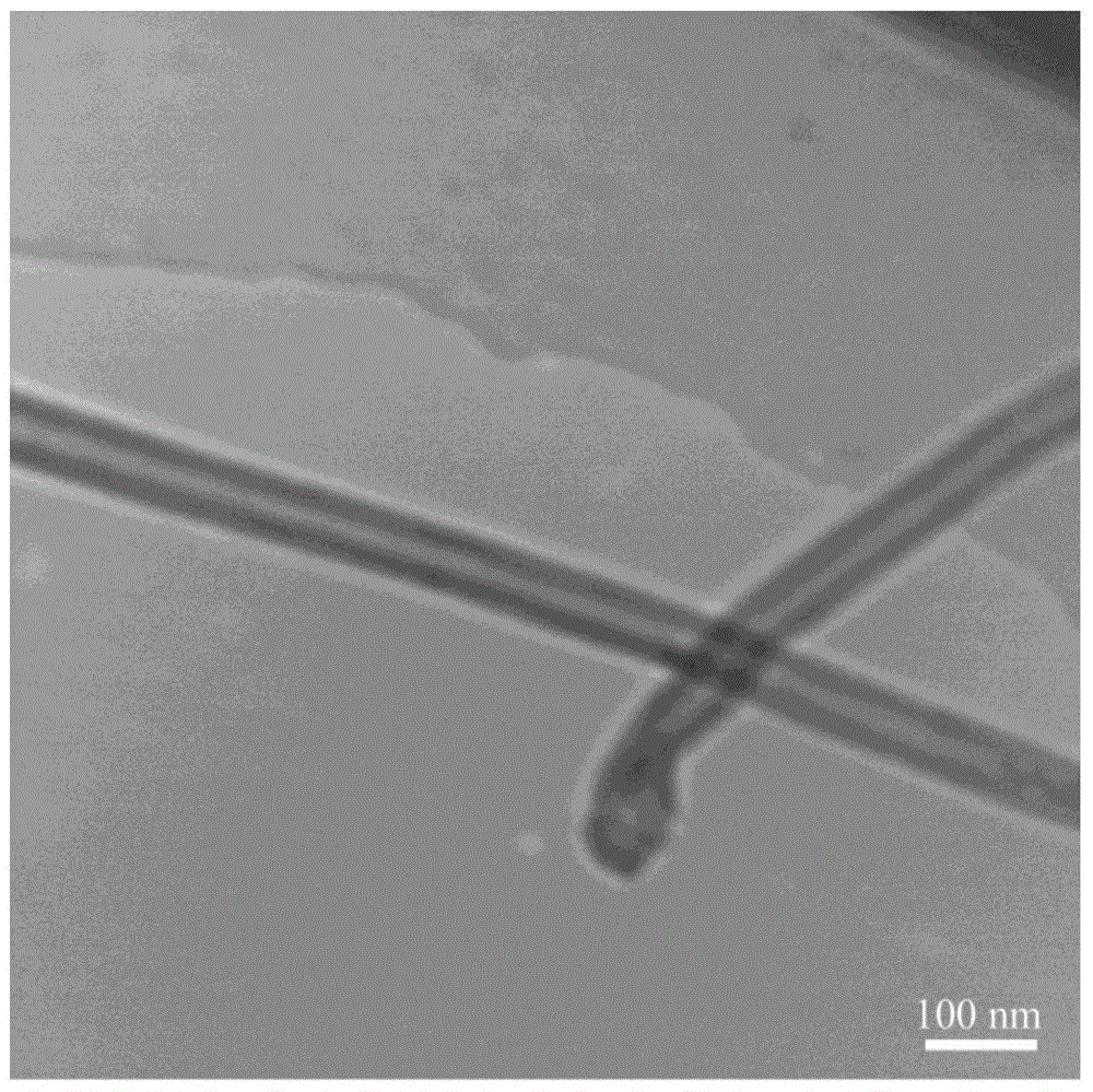 Method and device for preparing carbon nano tube by taking high-sulfur heavy oil as carbon source