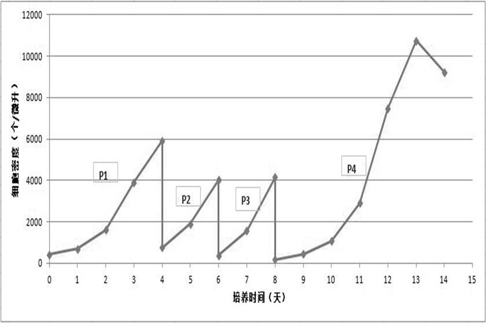 A serum-free medium for cho cells supporting high product expression