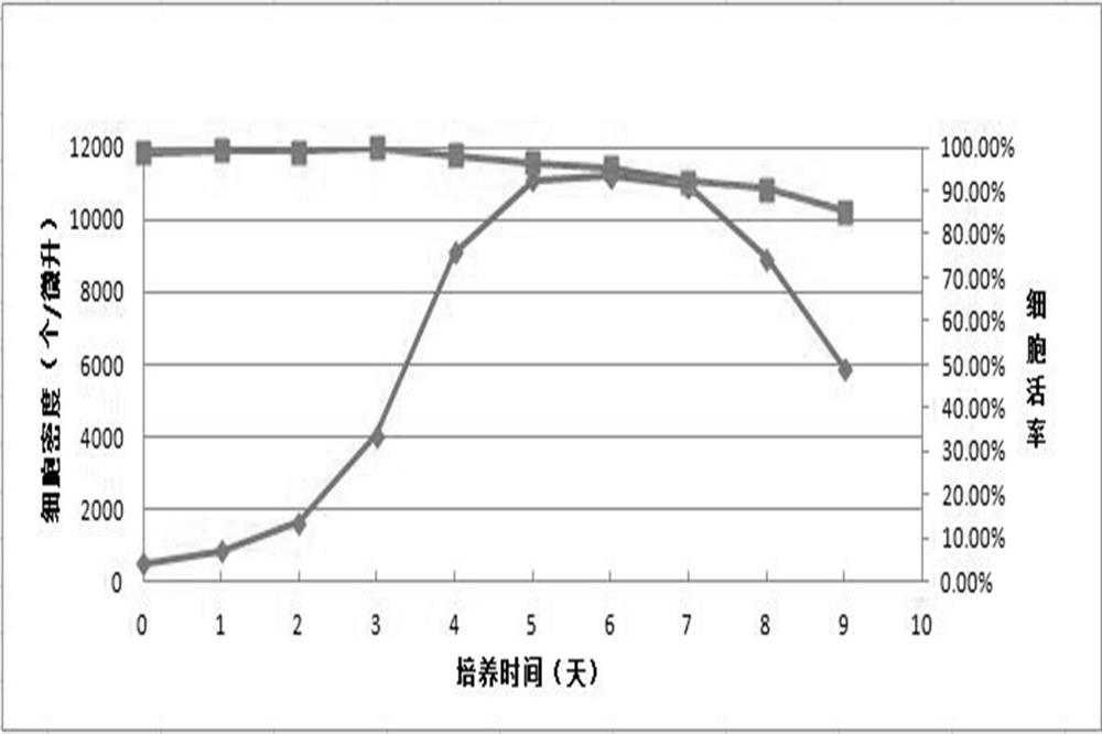 A serum-free medium for cho cells supporting high product expression